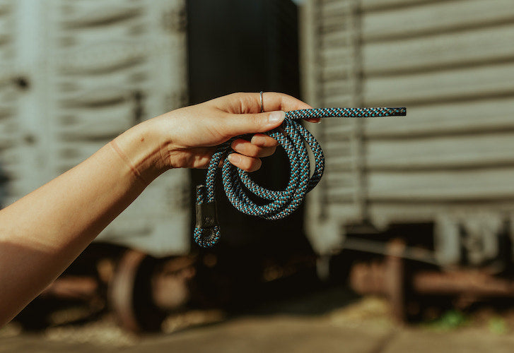 Ways to Use Your Retired Lizard Tail Belt Lizard Tail Belts